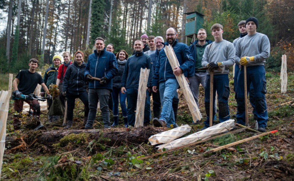 Gemeinsam mit dem Revierleiter Stadtwald Lahr, Matthias Hummel, und der Offenburger Agentur Tietge GmbH pflanzten zehn Mitarbeitende und Auszubildende des Überlandwerks Mittelbaden 175 klimaresistente Traubeneichen in Lahr-Sulz.