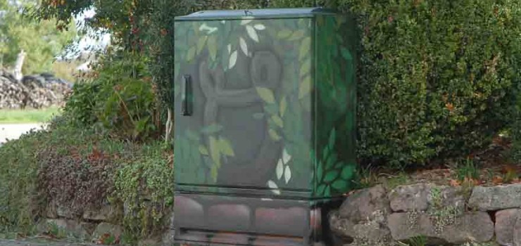 Bildmotiv Buchsbaum in der Elternstraße